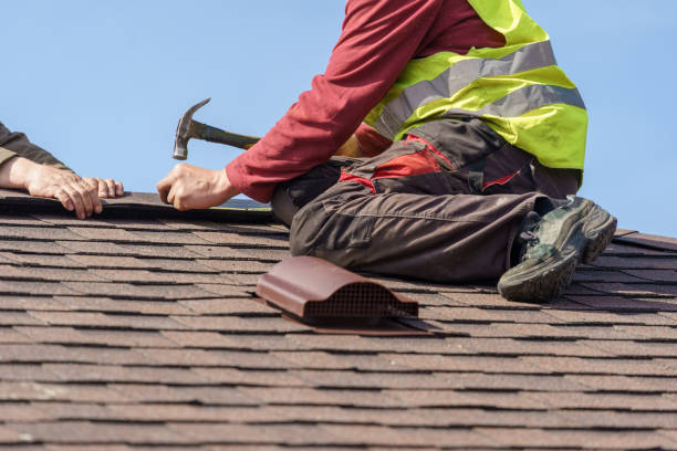 Best Roof Gutter Cleaning  in Andrews, SC